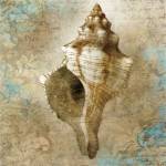 Aquatic Allure by Keith Mallett