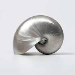 Beachside Treasure I by Assaf Frank