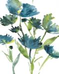 Blueberry Blooms  I by Meyers Rebecca