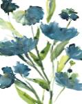 Blueberry Blooms  II by Meyers Rebecca