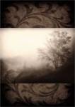 Early Morning Fog by Janel Pahl