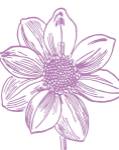 Florette I by Sabine Berg