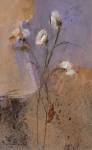 Flowers of June Series I by Miquela Nicolau