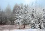 Frosty Morning by Mike Jones
