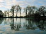 Frozen Reflections by Derek Harris