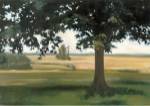 Hidden Pasture by Megan Lightell
