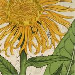 Joyful Bloom I by Sabine Berg