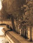 La Bord de la Seine by Marina Dransin Gilboa