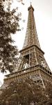 La Tour Eiffel I by Jeff Maihara