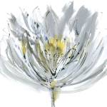 Le Grand Posy by Meyers Rebecca
