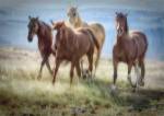 Morning Stroll by Wendy Caro