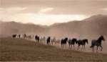 Moving Forward by Jorge Llovet