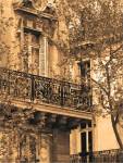 Printemps Arrive by Marina Dransin Gilboa