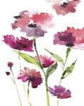 Razzleberry Blossoms by Meyers Rebecca