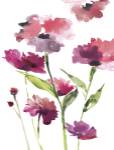 Razzleberry Blossoms by Meyers Rebecca