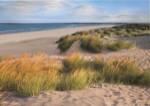 Sandy Shores by Assaf Frank