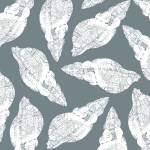 Scattered Shells I by Berg Sabine