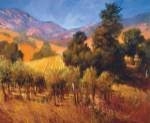 Southern Vineyard Hills by Philip Craig