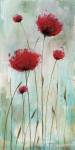 Splash Poppies I by Catherine Brink