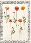 Spring Blooms II by Sabine Berg