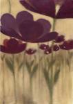 Summer Bloom II by Maria