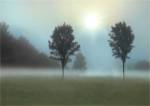 Sunburst by Monte Nagler