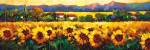 Sweeping Fields of Sunflowers by Nancy O'Toole