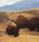 Yakima Oaks by Marc Bohne