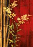 Zen Contemporary by Liz Jardine