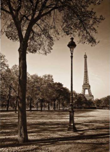 An Afternoon Stroll- Paris I