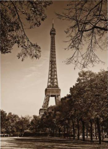 An Afternoon Stroll- Paris II