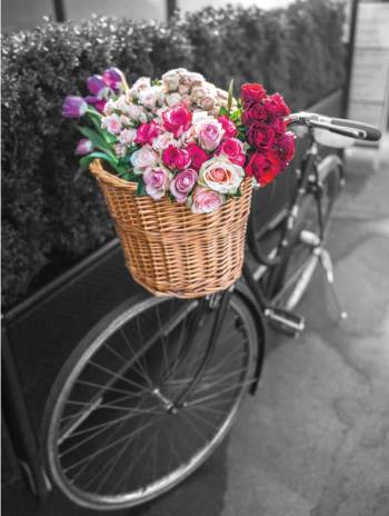 Basket of Flowers I