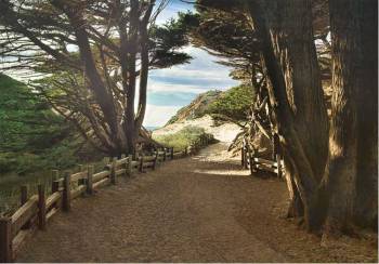 Big Sur