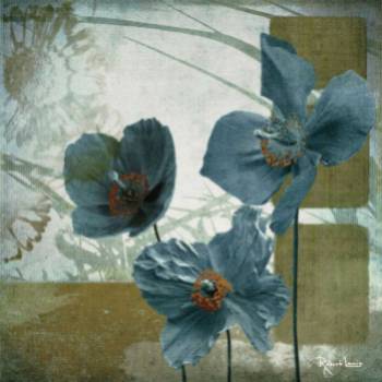 Cerulean Poppies II