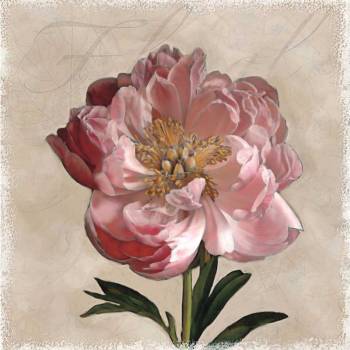 Peony I