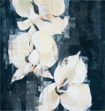 Shadow Orchids II