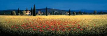 Tuscan Panorama - Poppies