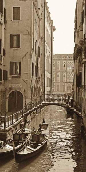 Venice Reflections